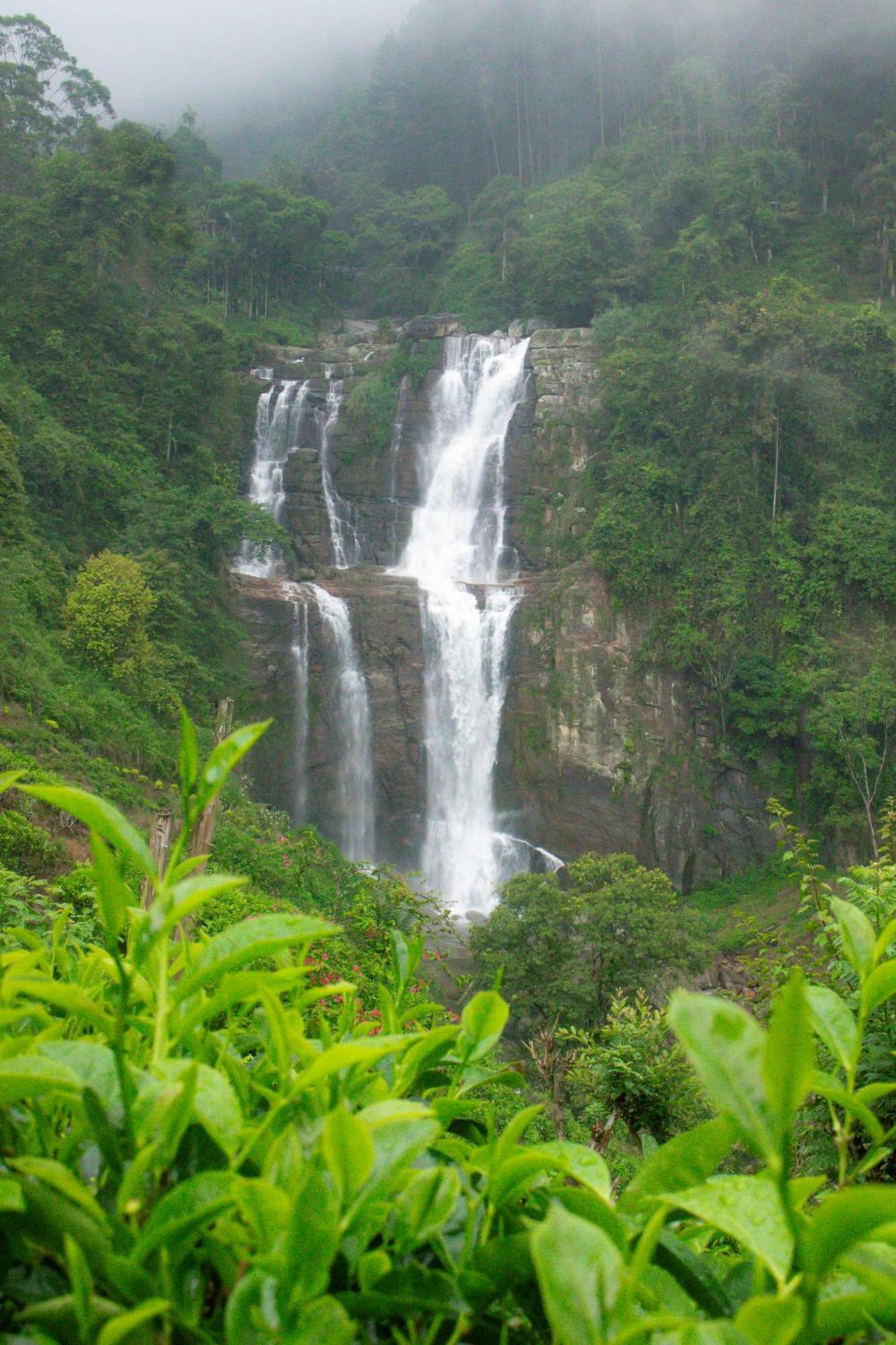 Ramboda Falls Plc Ngoại thất bức ảnh