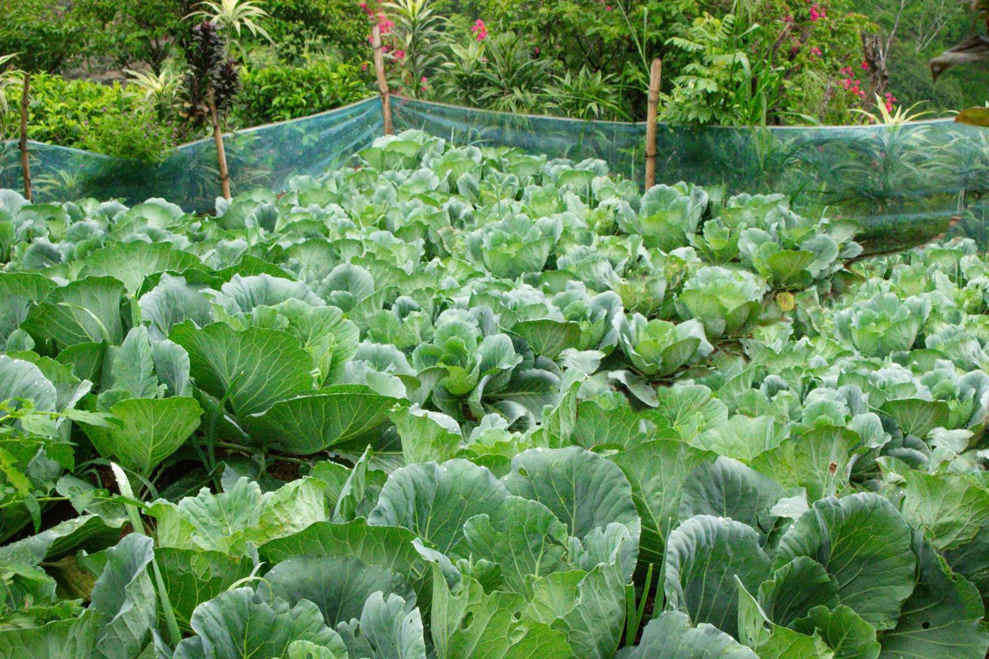 Ramboda Falls Plc Ngoại thất bức ảnh