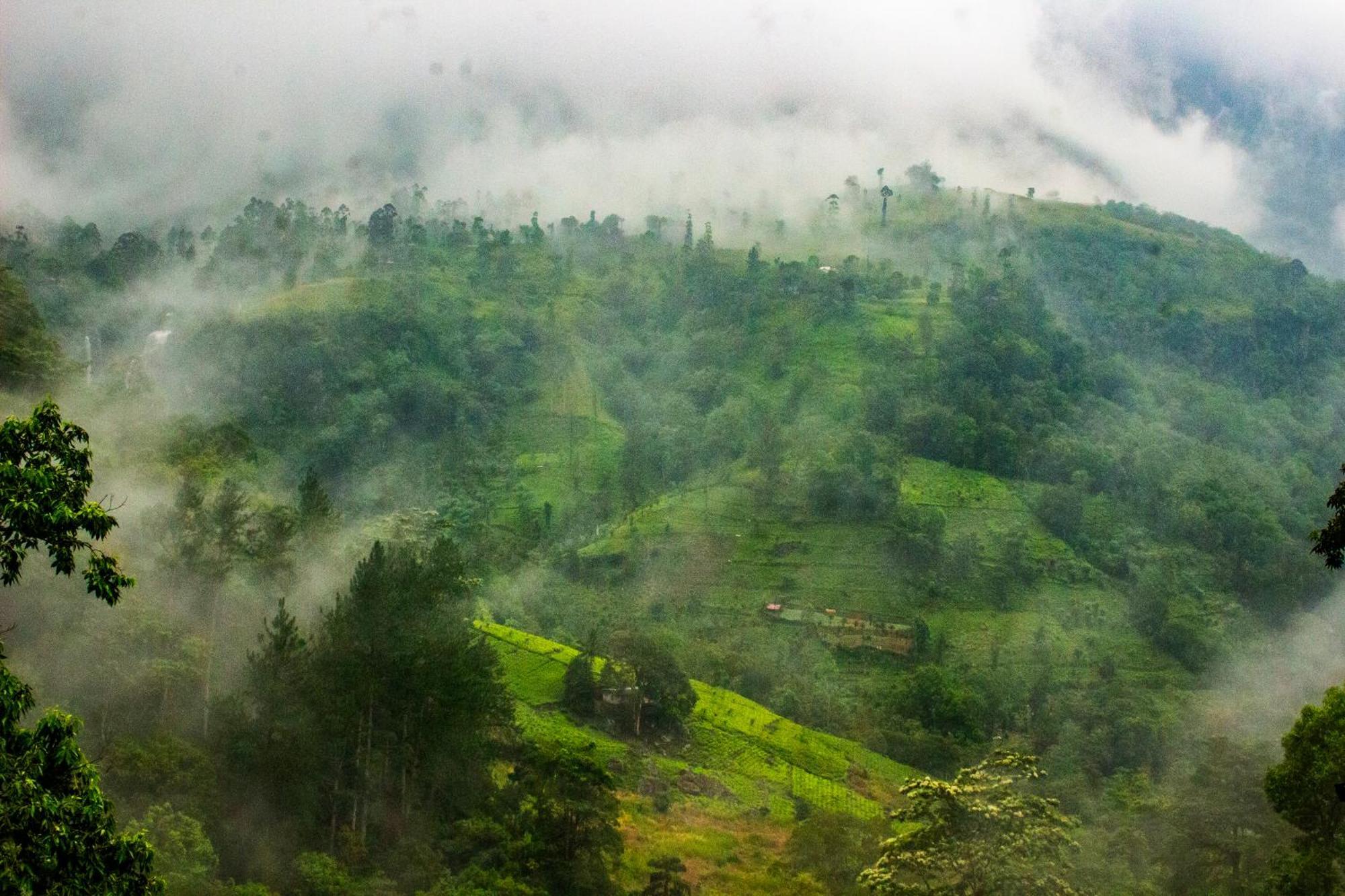 Ramboda Falls Plc Ngoại thất bức ảnh
